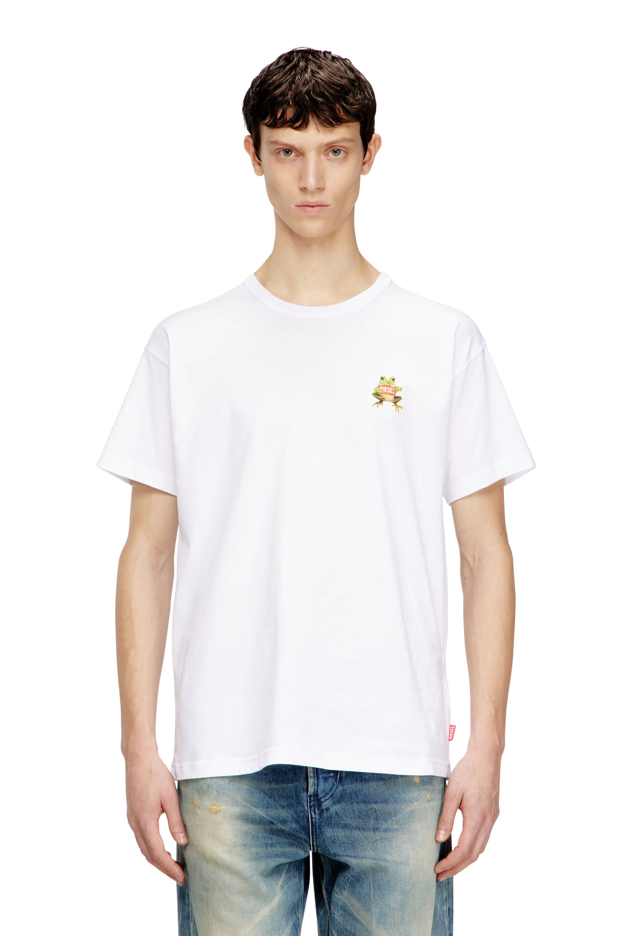 Diesel - T-NORM-FROG, Man's T-shirt with frog and logo print in White - 3