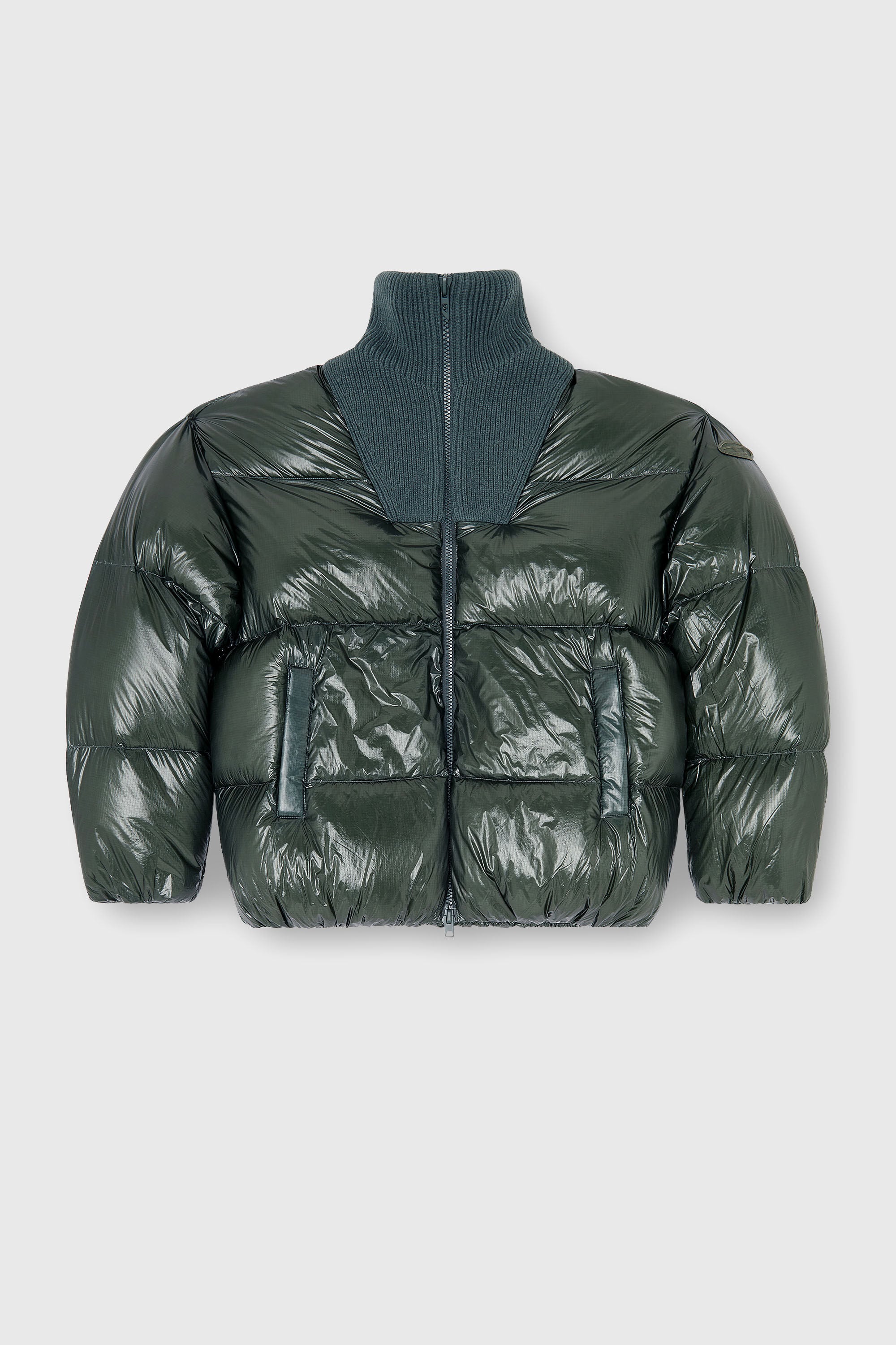 Diesel - W-RIBB, Man's Down puffer jacket in ripstop with ribbed collar in Dark Green - 2