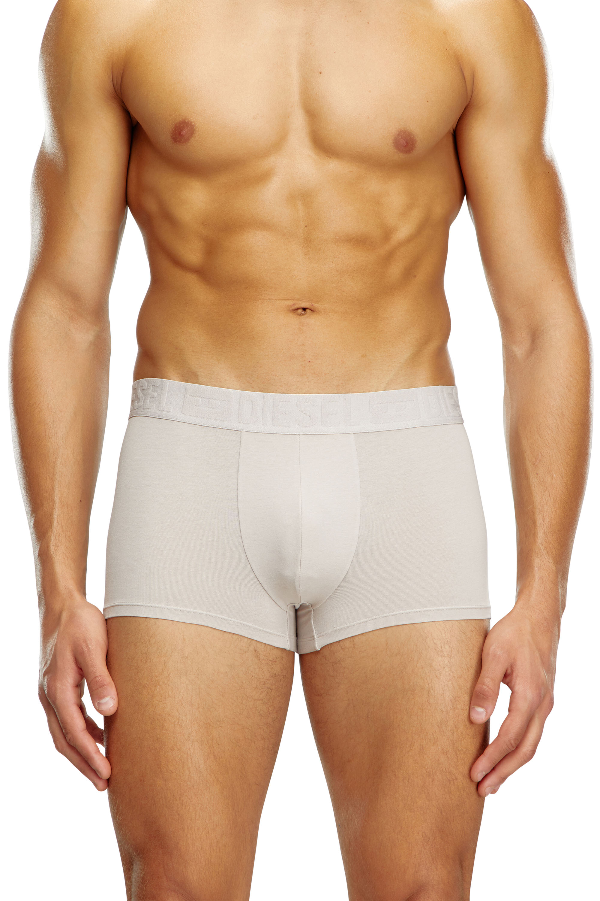 Diesel - UMBX-DAMIENTHREEPACK, Man's Three-pack monochrome boxer briefs in White/Grey - 2