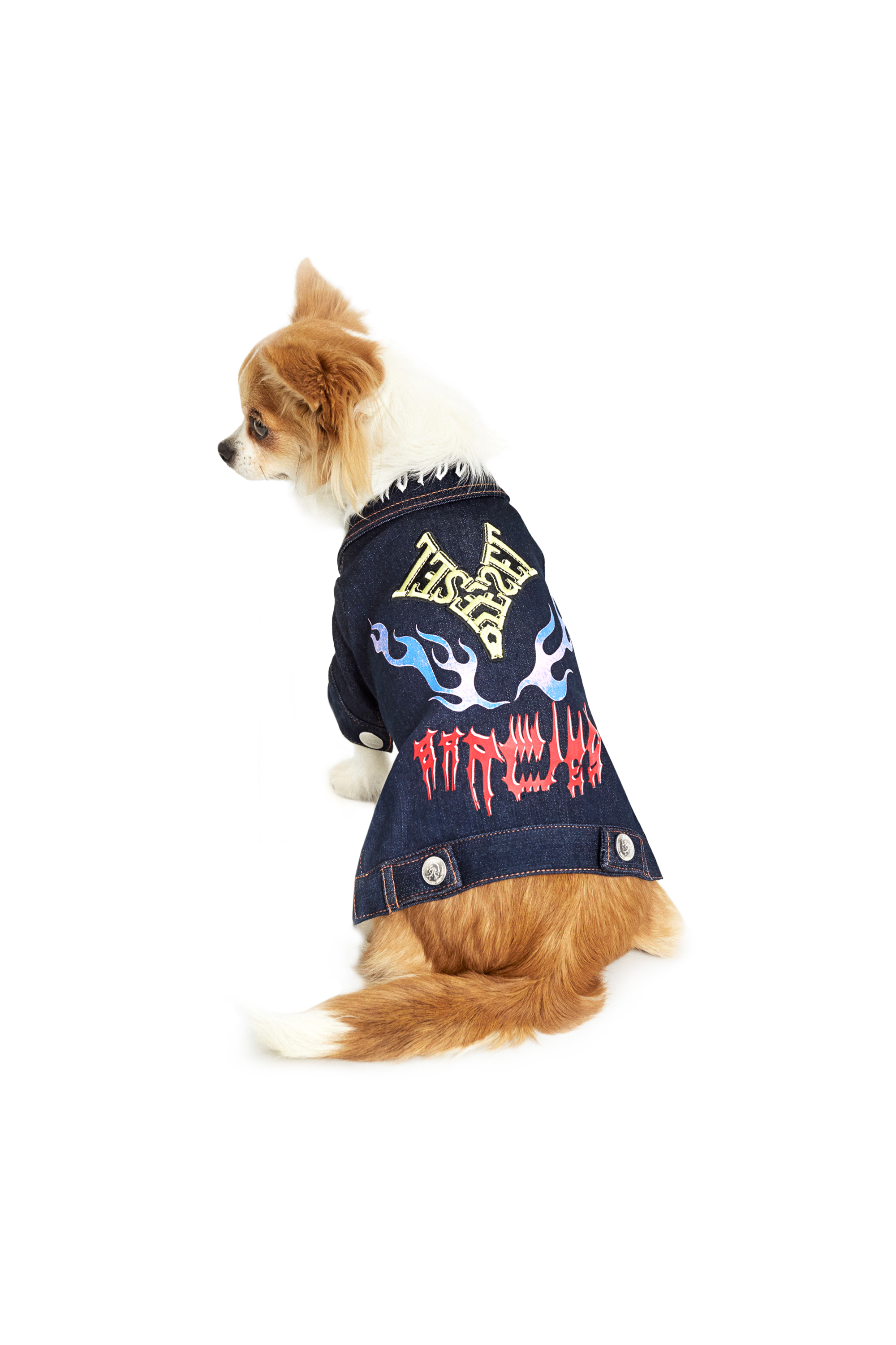 Diesel - PET-FLAMES, Dark Blue - Image 3